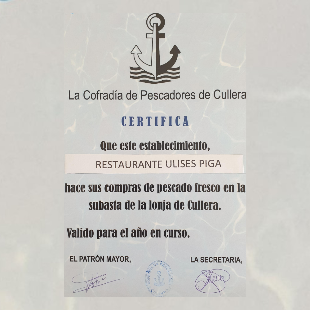Calidad 12